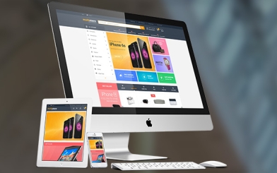 Custom Web 2 Print Project Development Services