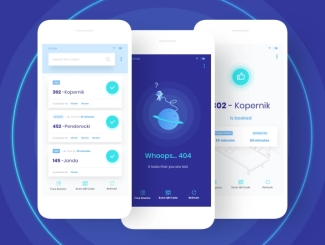 HEADLESS COMMERCE DEVELOPMENT